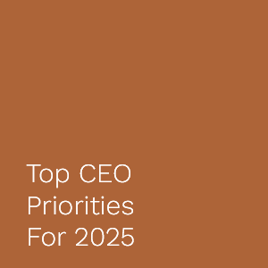 CEO Priorities 2025